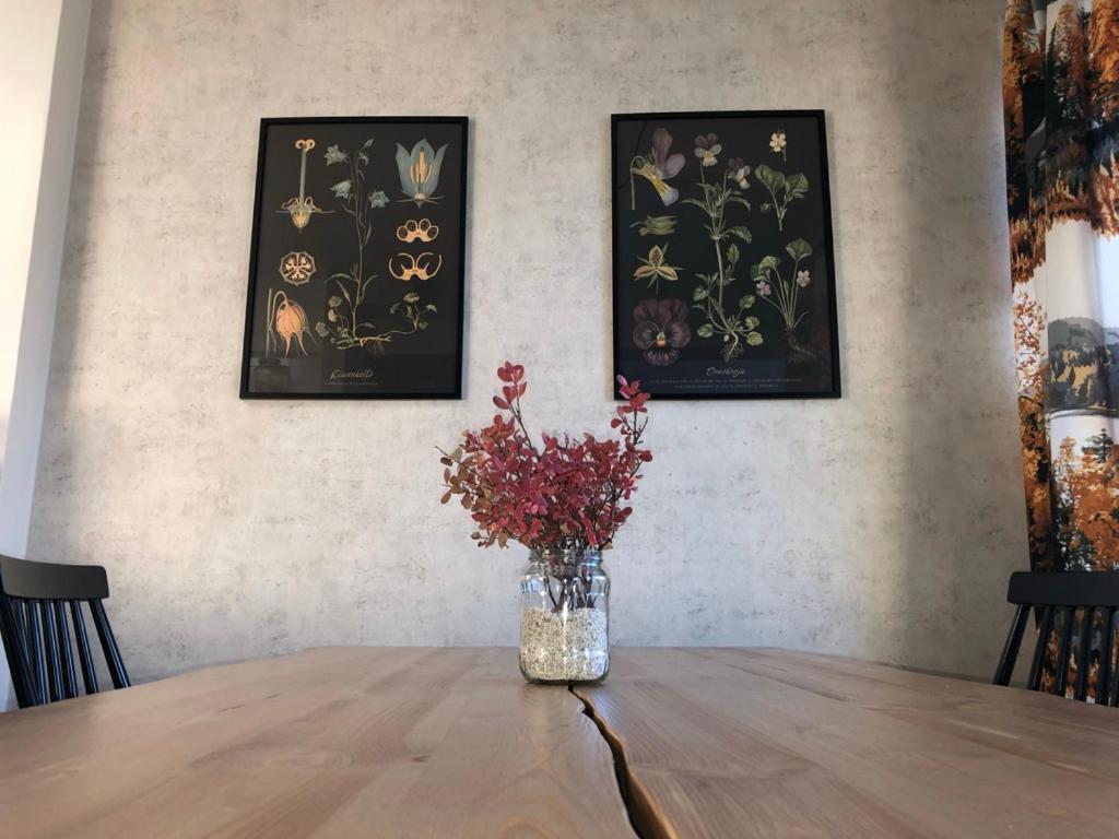 רובניימי Northern Lights Center Apartment מראה חיצוני תמונה